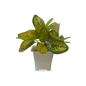 Variegated Yellow-Spotted Faux Foliage