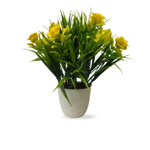 Sunny Yellow Rose Bush in Embossed Pot