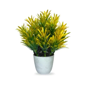Spiky Yellow-Green Grass Plant in White Pot